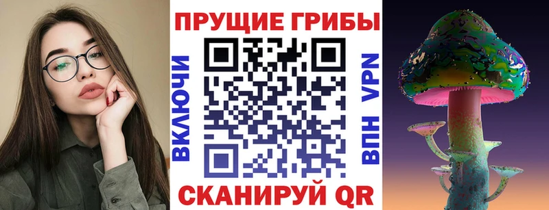 где продают наркотики  Хасавюрт  Галлюциногенные грибы Cubensis 